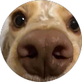 George Avatar